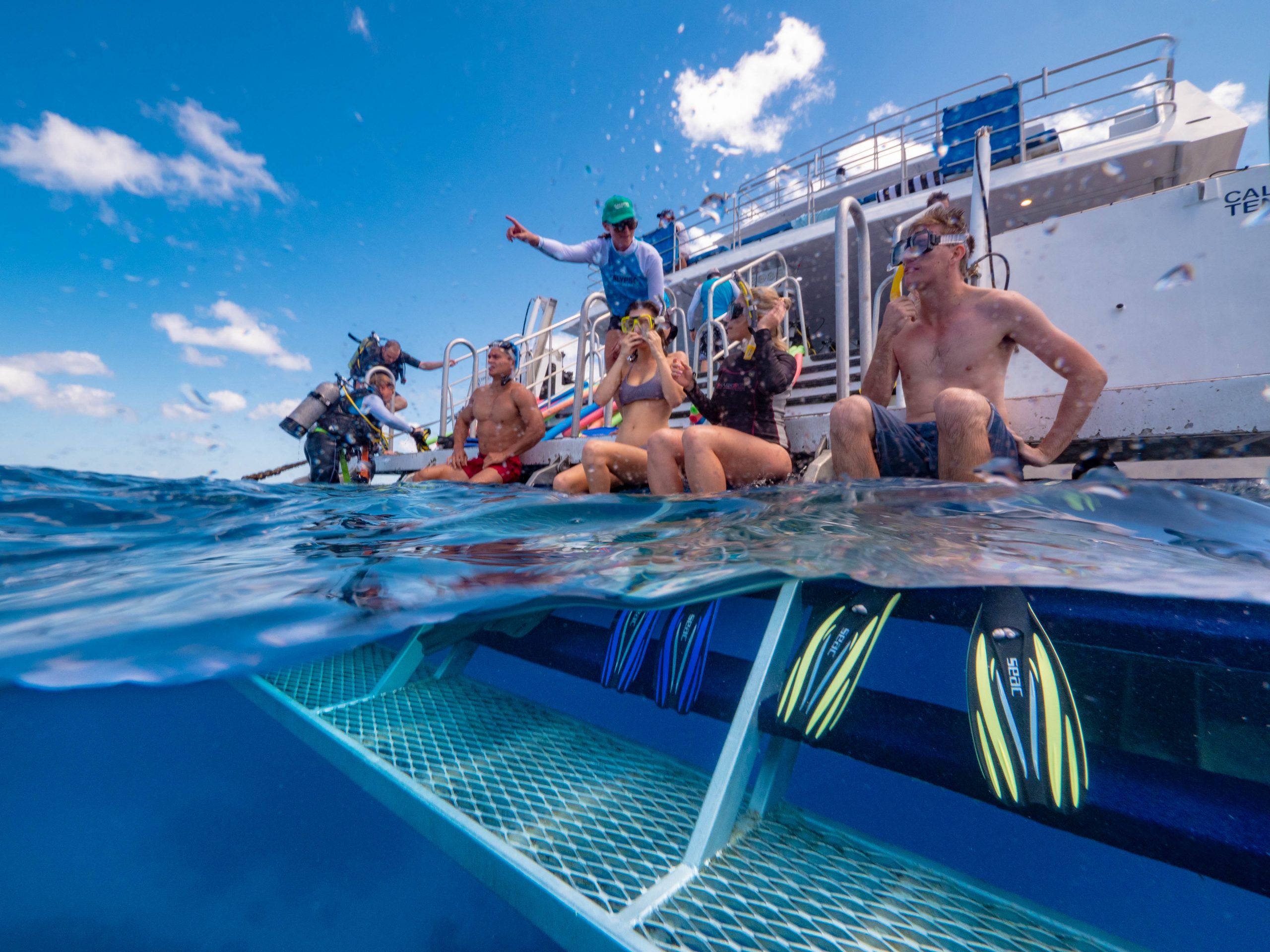 calypso reef cruises tours