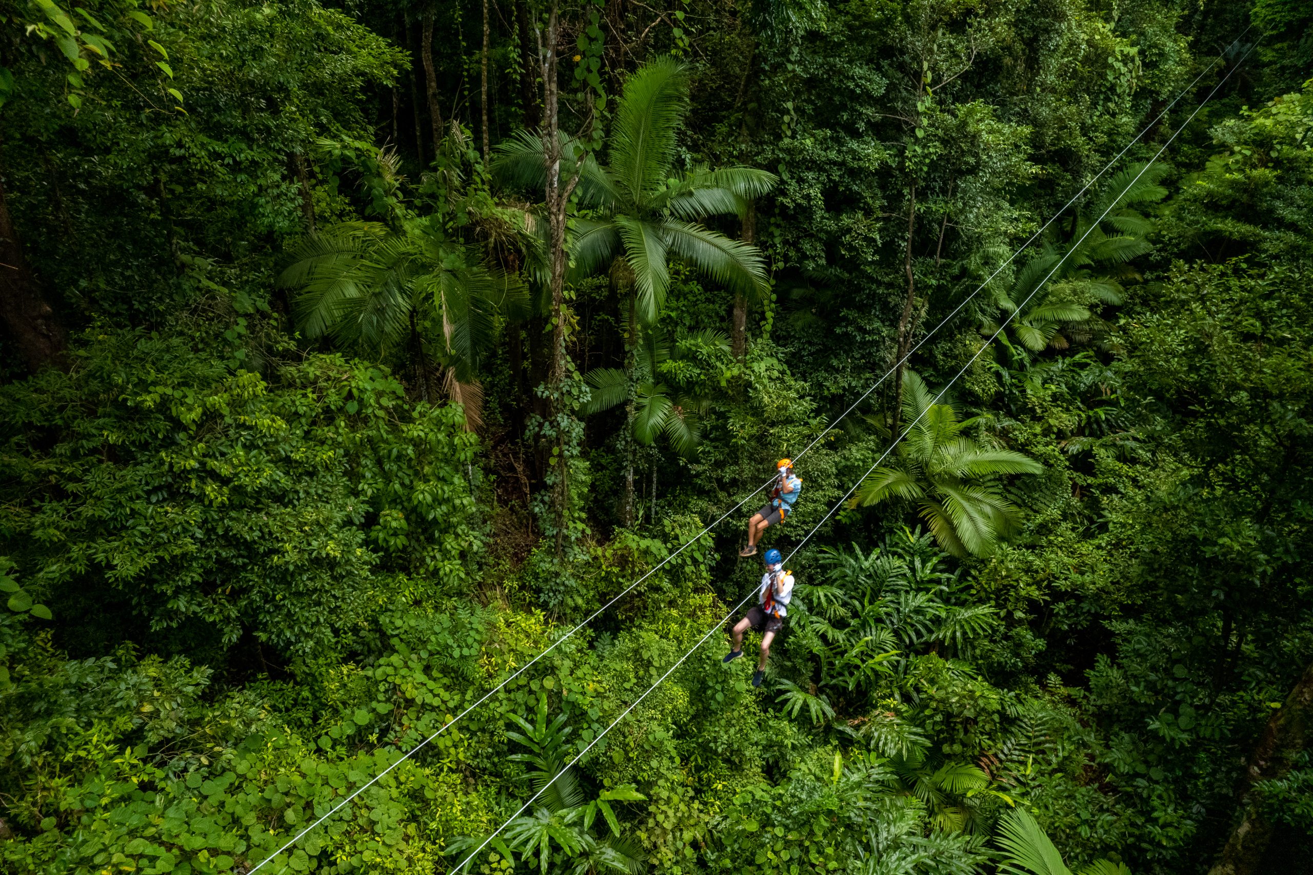 rainforest zipline park tours