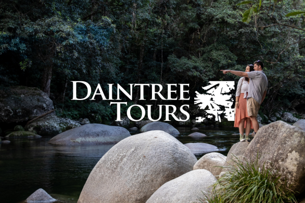 Daintree Tours Port Douglas