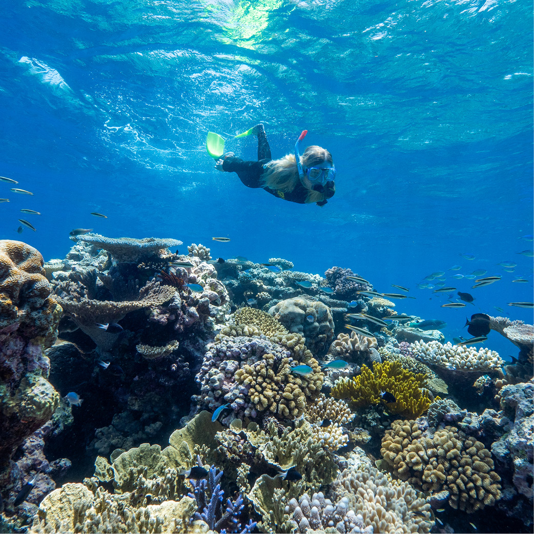 Girl snorkel at the reef with Dreamtime Dive & Snorkel