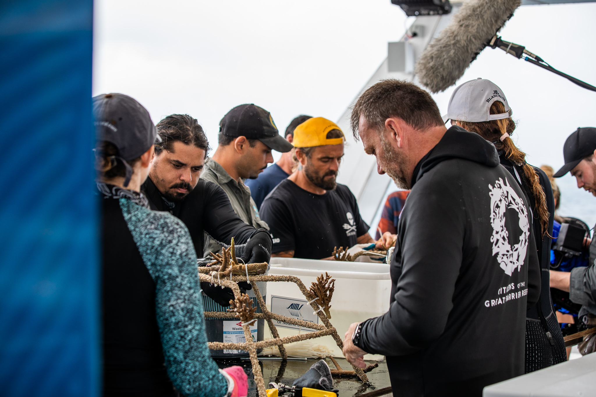 Reef Recovery Day Great Barrier Reef Dreamtime
